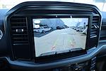 New 2025 Ford F-150 XL Regular Cab for sale #SKF80903 - photo 7