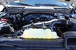 New 2025 Ford F-150 XL Regular Cab for sale #SKF81099 - photo 17