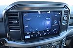 New 2025 Ford F-150 XL Regular Cab for sale #SKF81099 - photo 5