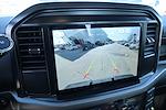 New 2025 Ford F-150 XL Regular Cab for sale #SKF81099 - photo 7