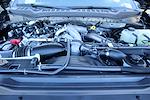 New 2026 Ford F-250 XL Crew Cab for sale #TED32876 - photo 19