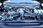 New 2026 Ford F-350 King Ranch Crew Cab for sale #TED64074 - photo 19