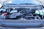 New 2026 Ford F-250 XL Crew Cab for sale #TED71578 - photo 20