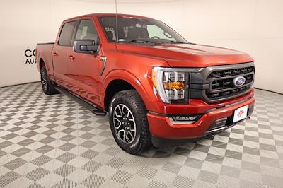 Used 2023 Ford F-150 - photo 1