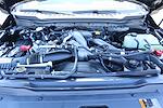2025 Ford F-250 Crew Cab 4WD Pickup for sale #SEE01242 - photo 20