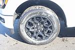 2025 Ford F-150 SuperCrew Cab RWD Pickup for sale #SKE02663 - photo 20