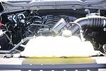 New 2026 Ford F-150 XLT SuperCrew Cab for sale #TFA37218 - photo 20