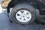 2026 Ford F-150 Regular Cab 4WD Pickup for sale #TKD05819 - photo 15