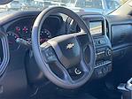 2023 Chevrolet Silverado 1500 Crew Cab RWD Pickup for sale #251077A - photo 9