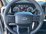 2023 Ford F-150 SuperCrew Cab RWD Pickup for sale #M2021 - photo 13