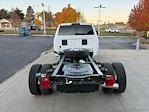 New 2026 Ram 5500 Crew Cab 84 CA Cab Chassis for sale #24N3263 - photo 10
