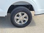 2022 Ford F-150 SuperCrew Cab 4WD Pickup for sale #NFA62671T - photo 8