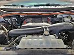 2022 Ford F-150 SuperCrew Cab 4WD Pickup for sale #NFB25146A - photo 9