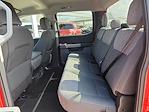 2023 Ford F-150 SuperCrew Cab RWD Pickup for sale #PKD33642PP - photo 12