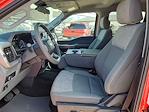 2023 Ford F-150 SuperCrew Cab RWD Pickup for sale #PKD33642PP - photo 13