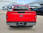 2023 Ford F-150 SuperCrew Cab RWD Pickup for sale #PKD33642PP - photo 6