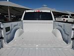 2025 Ram 1500 Crew Cab RWD Pickup for sale #SN216861 - photo 19