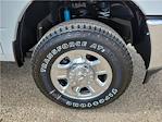 2024 Ram 2500 Crew Cab 4x4 Pickup for sale #D14123 - photo 7