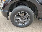 2023 Ford F-150 SuperCrew Cab 4x4 Pickup for sale #D14245A - photo 7