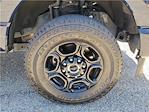 2024 Ford F-250 Crew Cab 4x4 Pickup for sale #I117500A - photo 7