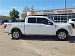 2023 Ford F-150 SuperCrew Cab 4x4 Pickup for sale #T5861 - photo 5