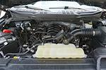 2023 Ford F-150 SuperCrew Cab RWD Pickup for sale #P4460 - photo 25