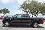 2023 Ford F-150 SuperCrew Cab RWD Pickup for sale #P4460 - photo 8