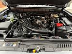 2024 Ford Bronco 4WD SUV for sale #240294 - photo 25