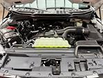 2024 Ford F-150 SuperCrew Cab 4x4 Pickup for sale #240635 - photo 28