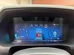 2024 Ford F-150 SuperCrew Cab 4x4 Pickup for sale #240741 - photo 14