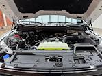 2024 Ford F-150 SuperCrew Cab 4x4 Pickup for sale #240741 - photo 25