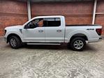 New 2024 Ford F-150 XLT SuperCrew Cab 4x4 Pickup for sale #240741 - photo 3