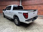 New 2024 Ford F-150 XLT SuperCrew Cab 4x4 Pickup for sale #240741 - photo 4