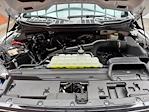 New 2024 Ford F-150 XLT SuperCrew Cab 4x4 Pickup for sale #240741 - photo 28