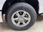 New 2024 Ford F-150 XLT SuperCrew Cab 4x4 Pickup for sale #240741 - photo 29