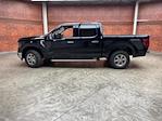 2024 Ford F-150 SuperCrew Cab 4x4 Pickup for sale #240892 - photo 3