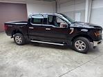 2024 Ford F-150 SuperCrew Cab 4x4 Pickup for sale #240892 - photo 6