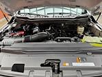 New 2024 Ford F-250 XL Crew Cab 4x4 Pickup for sale #240950 - photo 26