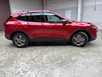 New 2025 Ford Escape ST-Line AWD SUV for sale #250079 - photo 6
