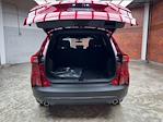 New 2025 Ford Escape ST-Line AWD SUV for sale #250079 - photo 24