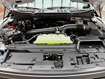 2025 Ford F-150 Regular Cab 4x4 Pickup for sale #250228 - photo 25