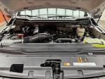 2025 Ford F-350 Regular Cab DRW 4WD Cab Chassis for sale #250407 - photo 21