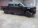 New 2025 Ford F-150 STX SuperCrew Cab 4x4 Pickup for sale #250465 - photo 5