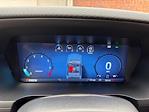 New 2025 Ford F-150 STX SuperCrew Cab 4x4 Pickup for sale #250465 - photo 14