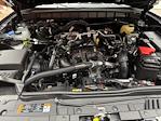 2025 Ford Bronco 4WD SUV for sale #250469 - photo 5
