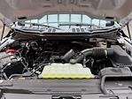 New 2025 Ford F-150 STX Super Cab 4WD Pickup for sale #250489 - photo 27