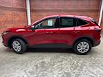 New 2025 Ford Escape ACTIV AWD SUV for sale #250523 - photo 3