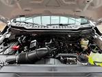 2025 Ford F-250 Regular Cab 4WD Pickup for sale #250534 - photo 24