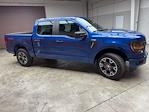 2025 Ford F-150 SuperCrew Cab 4x4 Pickup for sale #250537 - photo 6