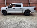 New 2025 Ford F-150 STX SuperCrew Cab 4WD Pickup for sale #250554 - photo 3